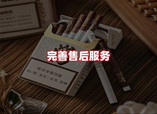 专业团队